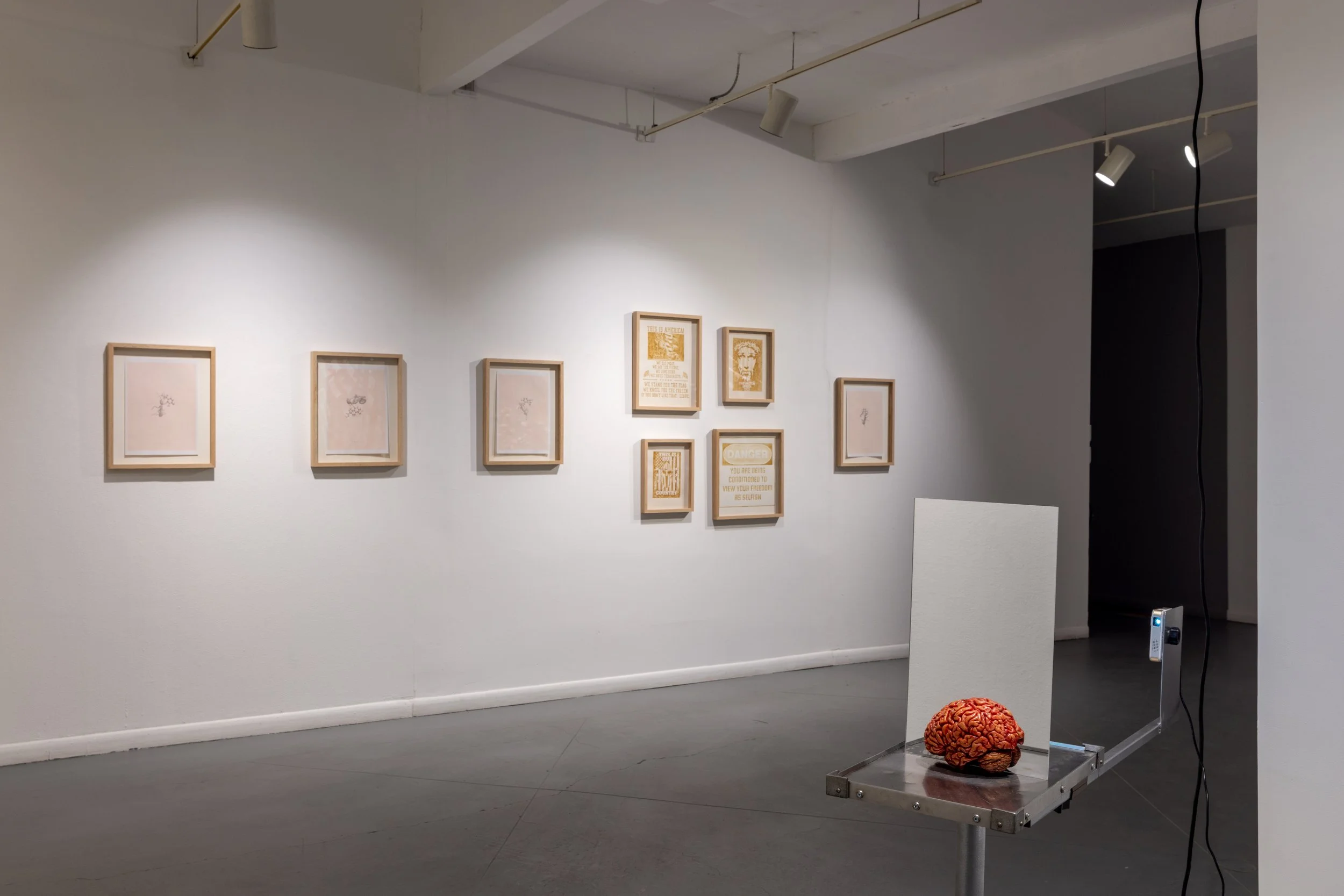 Inhaling the Spore: Sauter — Art League Houston